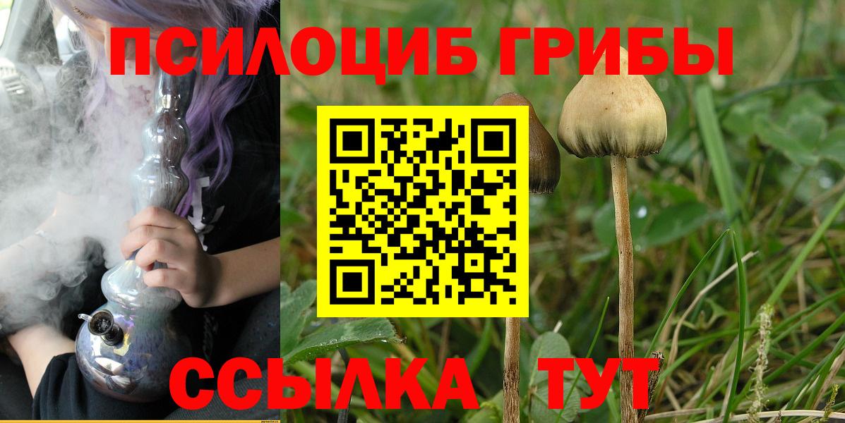 Галлюциногенные грибы прущие грибы  где найти наркотики  Апатиты  Галлюциногенные грибы GOLDEN TEACHER  Вход с VPN 