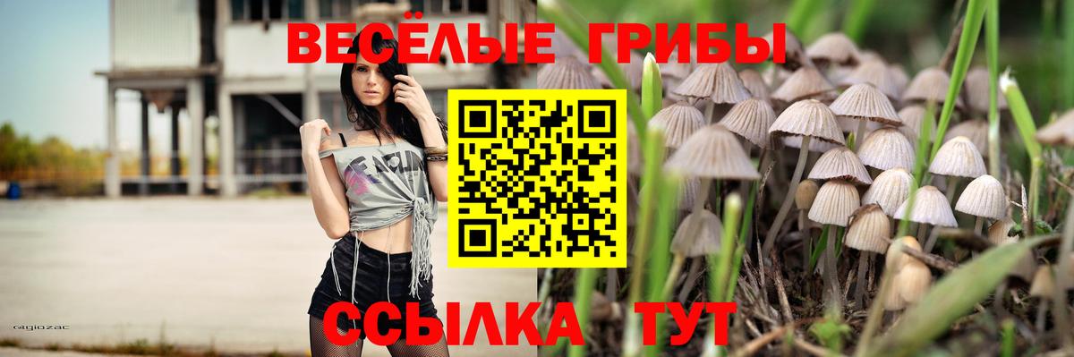 Псилоцибиновые грибы Cubensis Апатиты