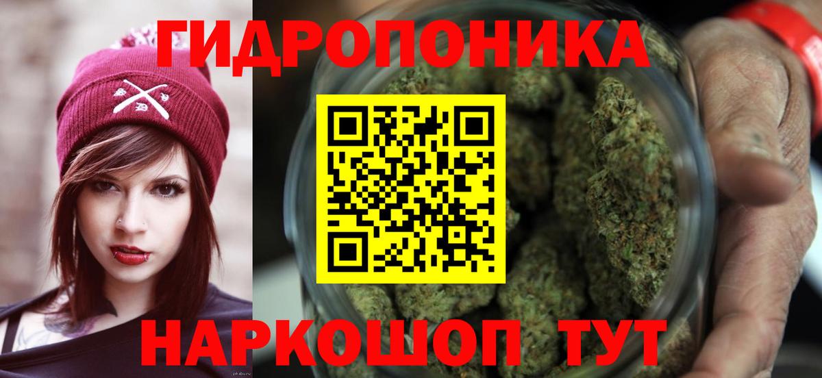 Бошки марихуана планчик  Бошки марихуана индика  Марихуана Ganja  Вход с VPN  Апатиты 